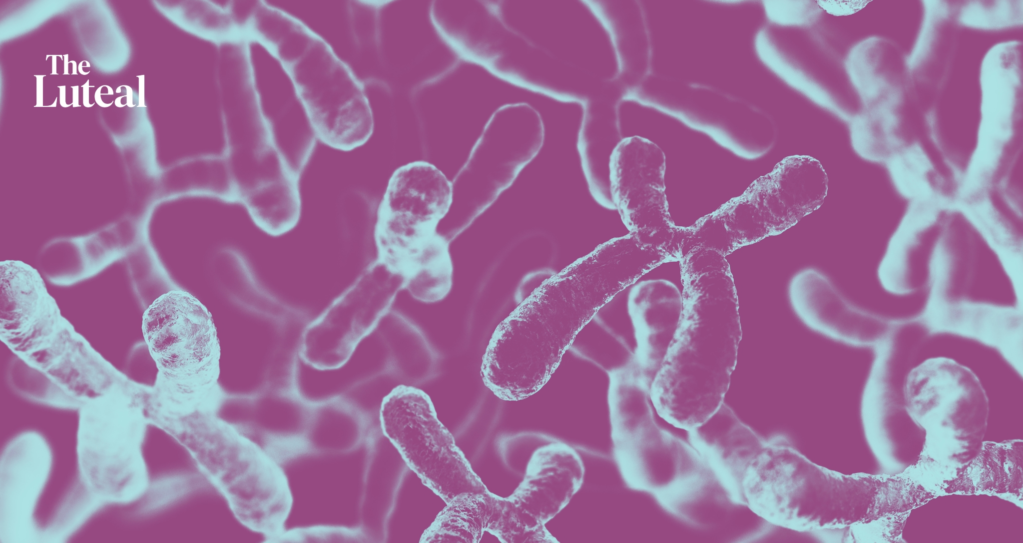 Xella Launches AI Platform, Assesses 130+ XX Chromosome Conditions