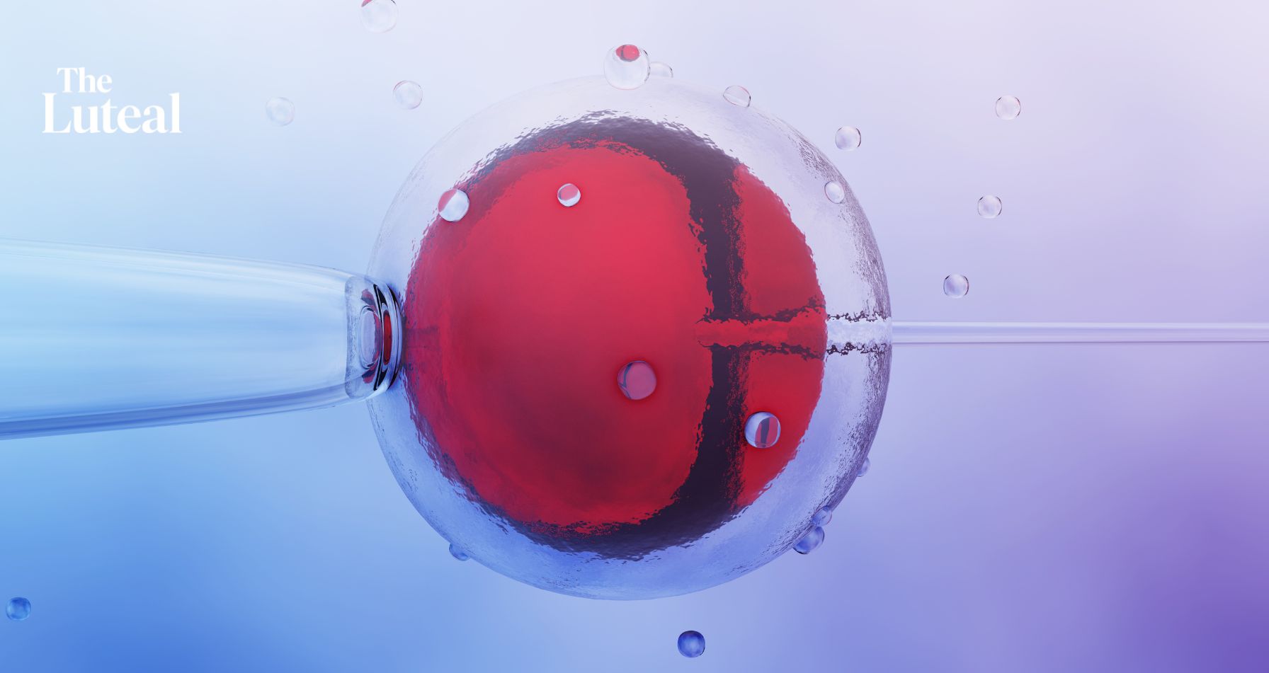 Cheaper IVF Means More Babies, Yet the Industry Is Investing in Everything Else