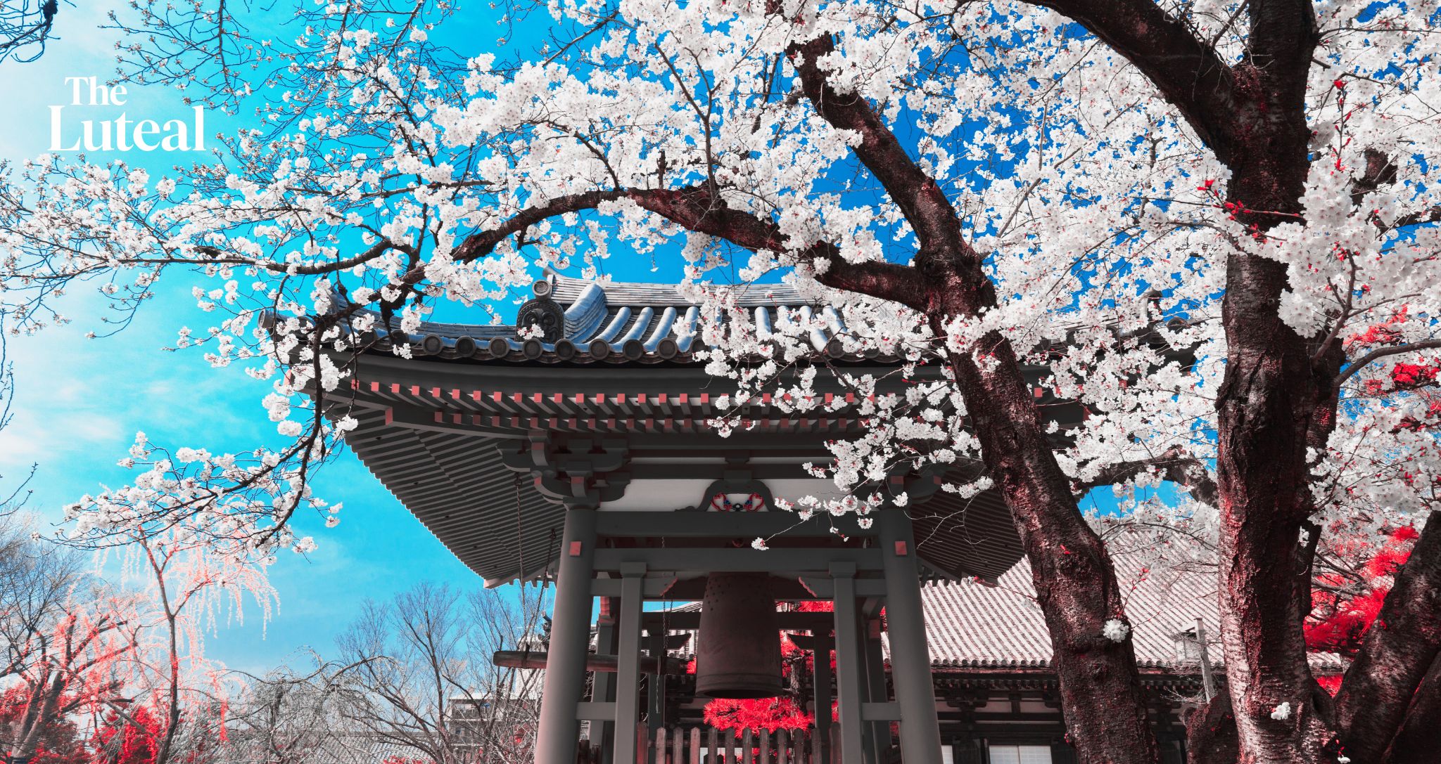 Japan Made Women's Health a Business Metric