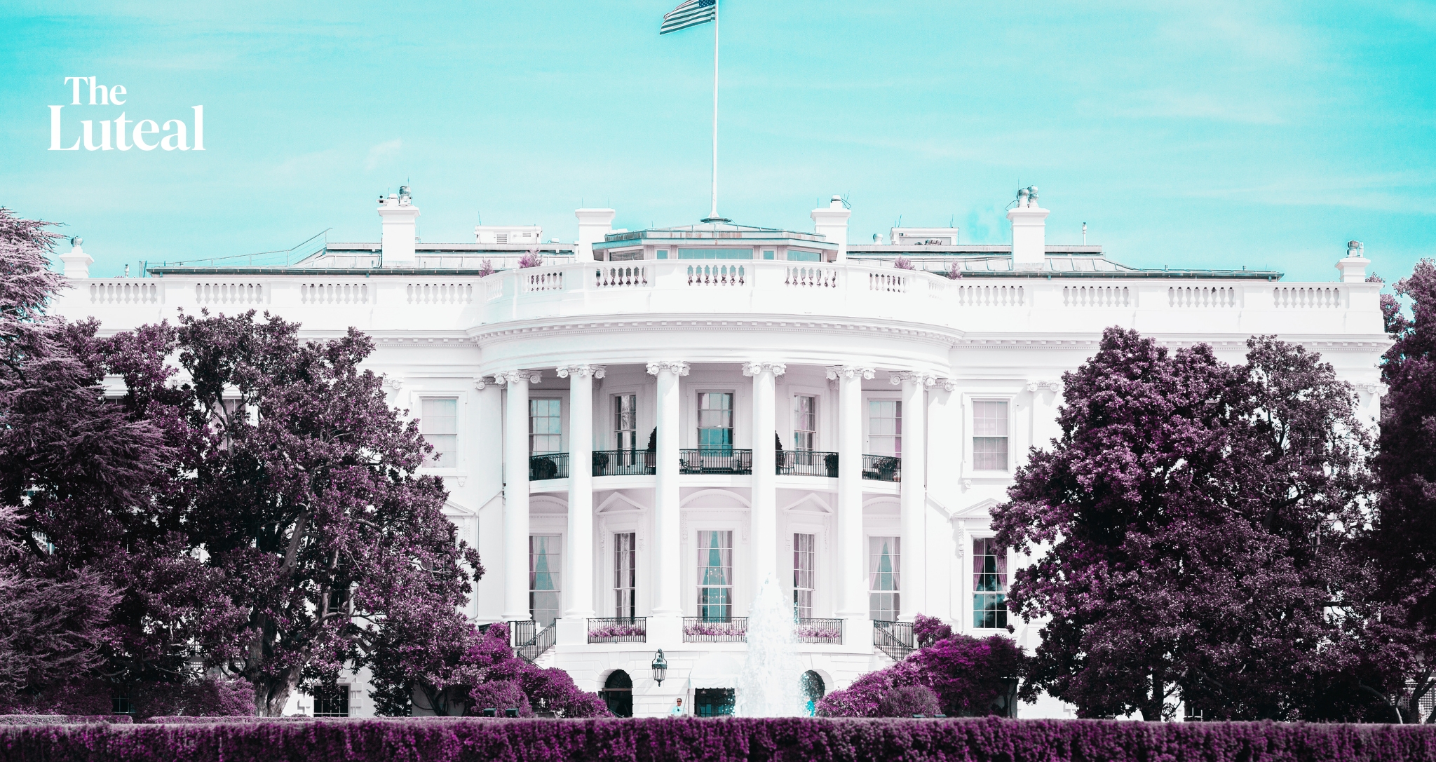 $5B Less For NIH and A Seat For the FDA