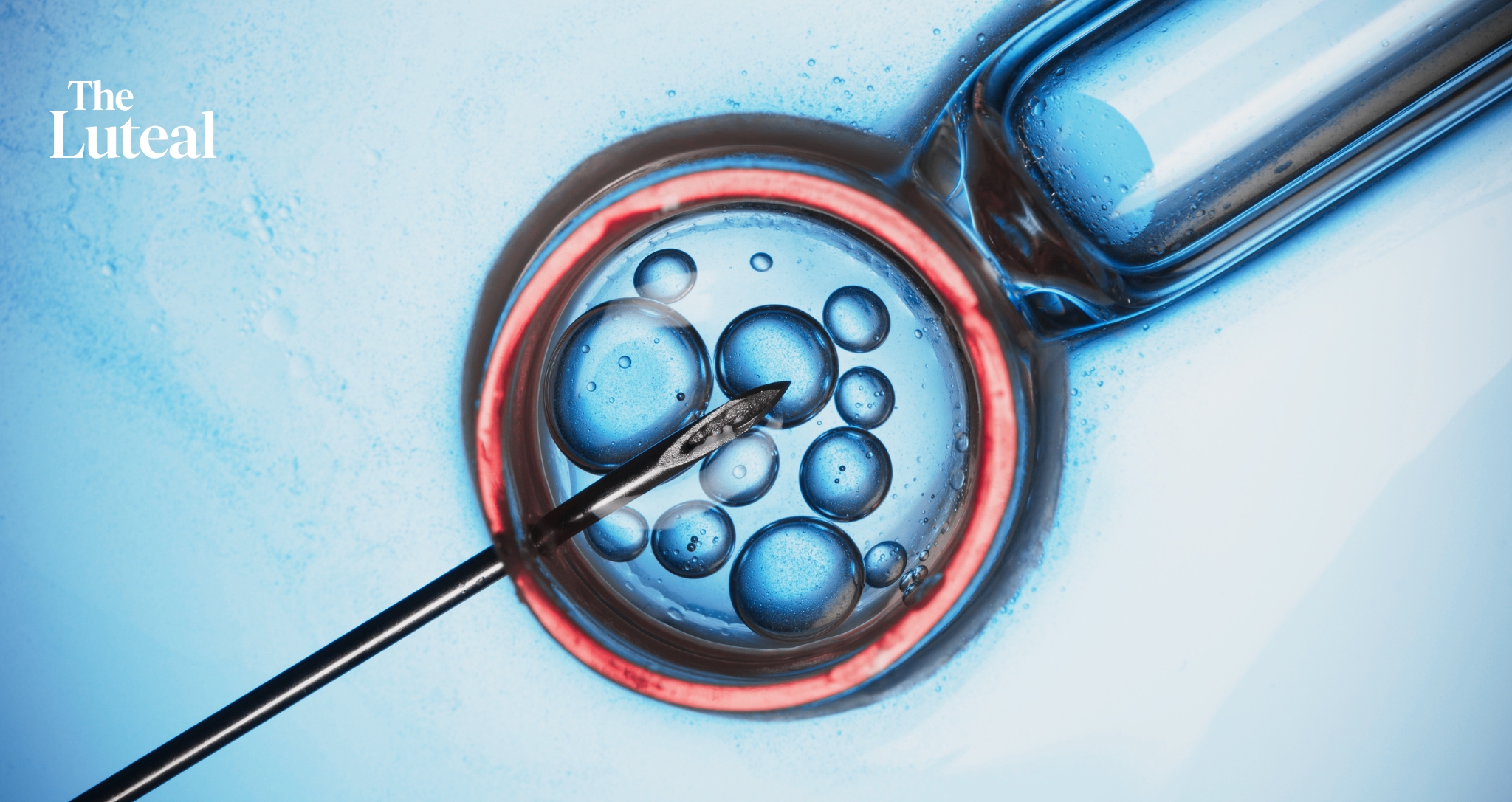 The $900 IVF Drug Now Sells For $168